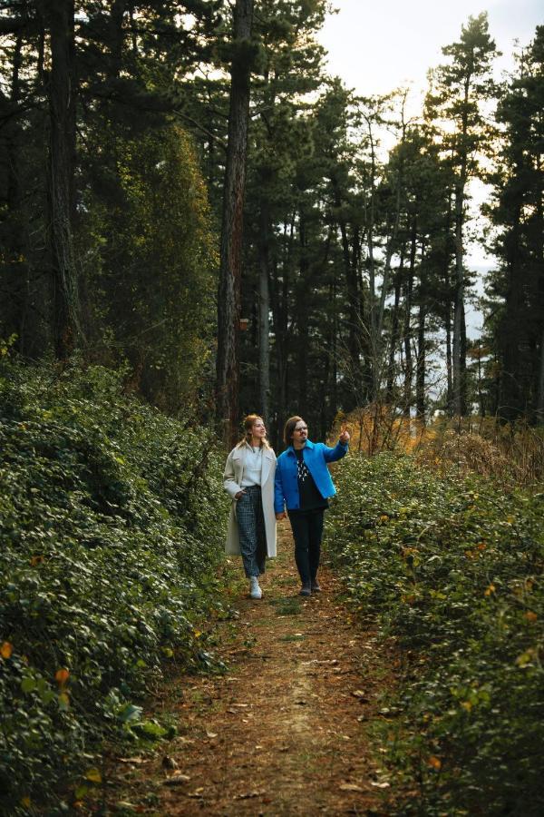 Woodlodge Country Sapanca Εξωτερικό φωτογραφία